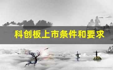 科创板上市条件和要求 本科(科创板上市公司需要什么条件才能上市)_https://www.luoxuangg888.com_创业板_第1张